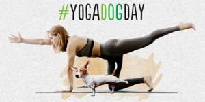 yogadogday, disfrutar de tu mascota y de la práctica de yoga,