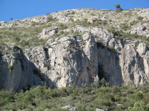 Pinares de San Antón, un maravilloso paraje natural semisalvaje dónde disfrutar de actividades deportivas