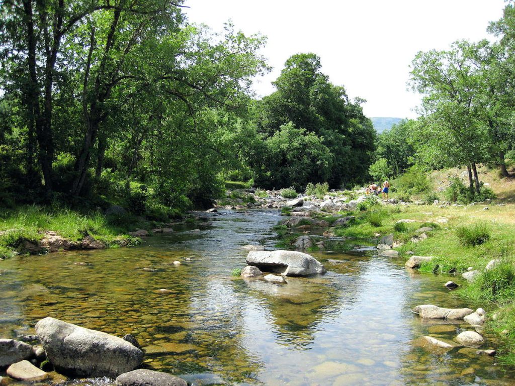 Fauna y flora de la comarca, un pueblo histórico Cuaco de Yuste